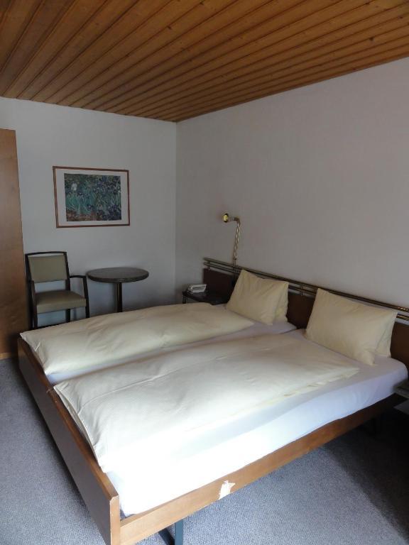 Hotel Steinbock Γκρίντελβαλντ Εξωτερικό φωτογραφία