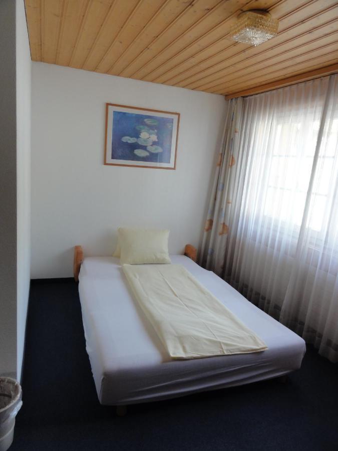Hotel Steinbock Γκρίντελβαλντ Εξωτερικό φωτογραφία